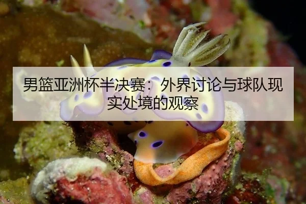 男篮亚洲杯半决赛：外界讨论与球队现实处境的观察