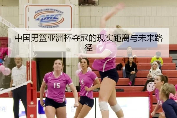中国男篮亚洲杯夺冠的现实距离与未来路径 - xingkong
